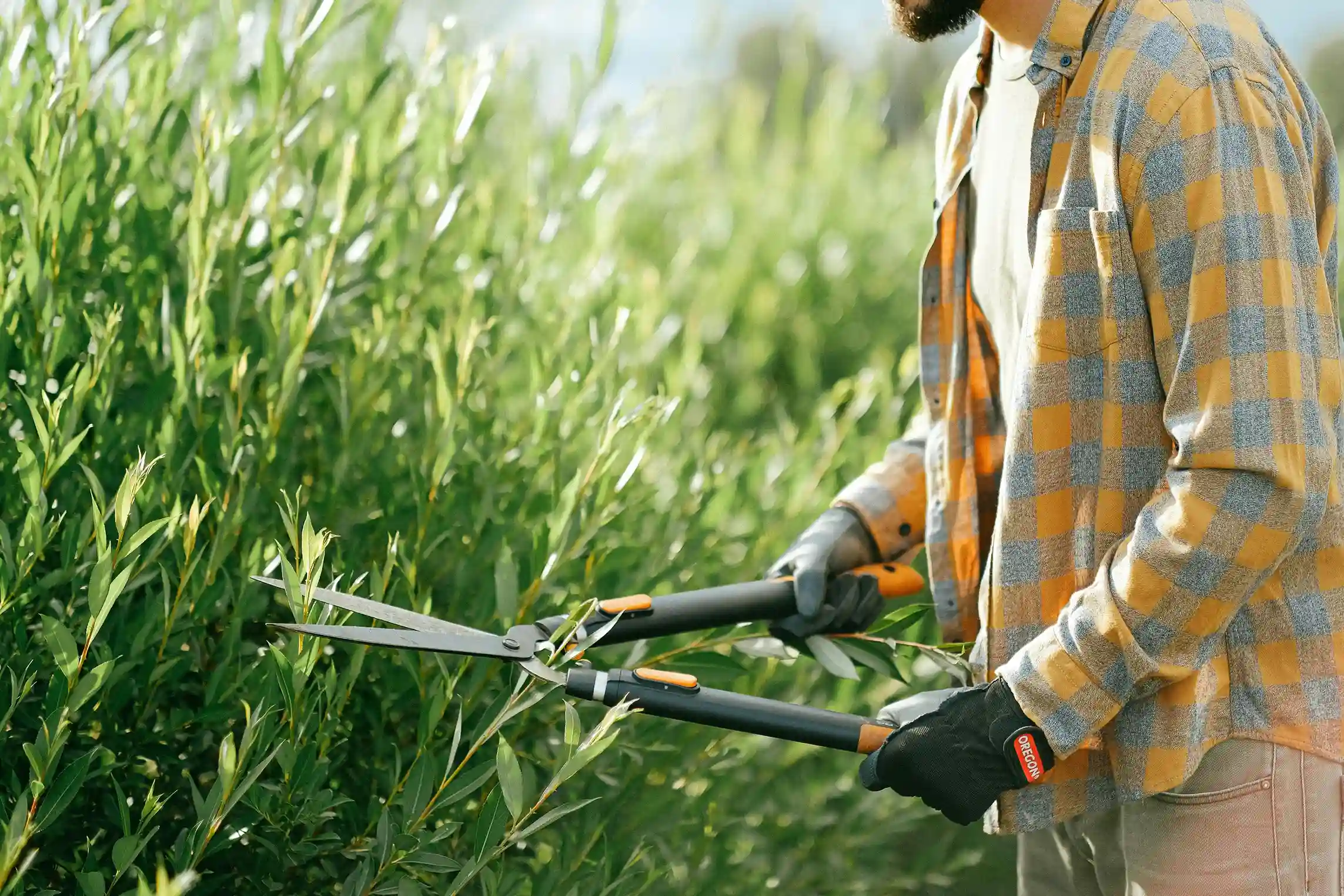 Jardinage - Location d'outils